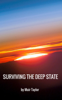Cover image: SURVIVING THE DEEP STATE 9781456637040