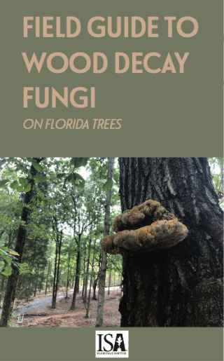 Titelbild: Field Guide to Wood Decay Fungi on Florida Trees 9781456638085