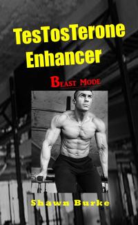 Cover image: Testosterone Enhancer Beast Mode 9781456638399