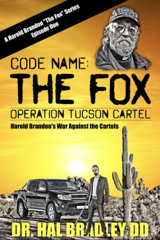 Titelbild: CODE NAME: The FOX 9781456639242