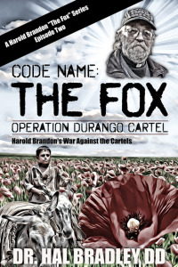 Cover image: CODE NAME: THE FOX 9781456639334