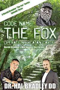 Cover image: CODE NAME: THE FOX 9781456639464
