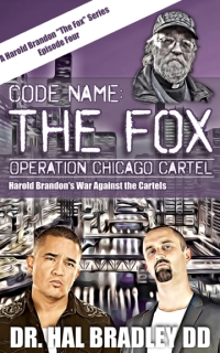 Cover image: CODE NAME: THE FOX 9781456639662