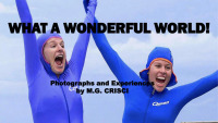 Cover image: What a Wonderful World 9781456640040