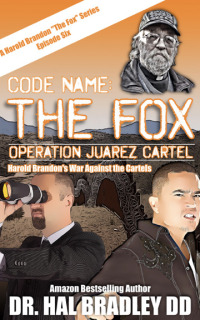 Cover image: CODE NAME: THE FOX 9781456640156