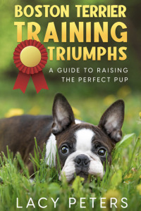 Cover image: Boston Terrier Training Triumphs 9781456640842
