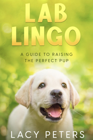 Imagen de portada: Lab Lingo 9781456641030