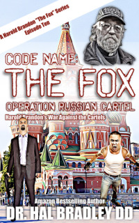 Cover image: CODE NAME: THE FOX 9781456641795