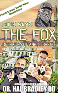 Cover image: CODE NAME: FOX 9781456643850