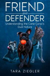 Cover image: Friend and Defender 9781456645076