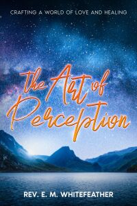 Omslagafbeelding: The Art of Perception 9781456645571