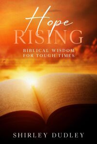 Cover image: Hope Rising 9781456647728