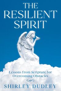 Cover image: The Resilient Spirit 9781456649043