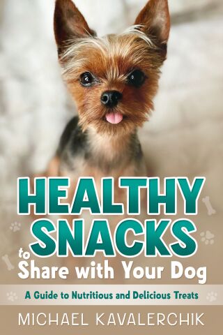 Titelbild: Healthy Snacks to Share with Your Dog 9781456652975