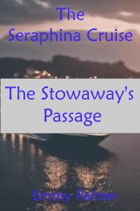 Omslagafbeelding: The Stowaway's Passage 9781456655754