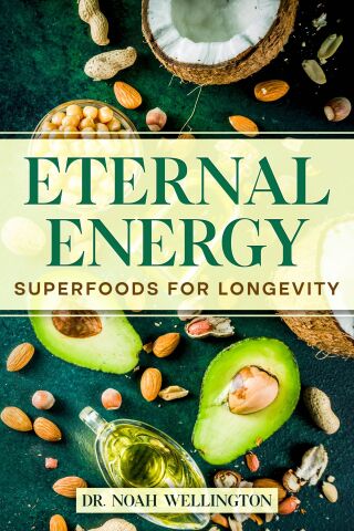 Cover image: Eternal Energy 9781456655853