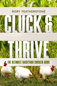 Imagen de portada: Cluck & Thrive 9781456656751