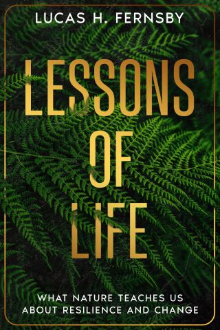 Titelbild: Lessons of Life 9781456657352