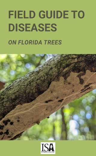 Cover image: Field Guide to Diseases on Florida Trees 9781456659578