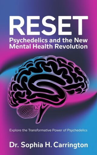 Cover image: Reset 9781456664954