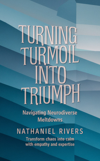 表紙画像: Turning Turmoil into Triumph 9781456665081
