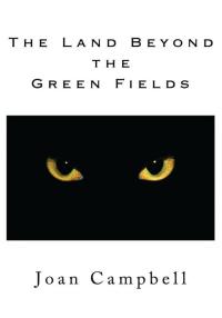 Cover image: The Land Beyond the Green Fields 9781434322678