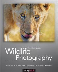 Titelbild: Wildlife Photography 1st edition 9781933952567