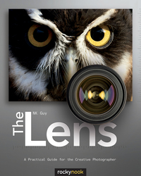 Titelbild: The Lens 1st edition 9781933952970