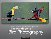 Omslagafbeelding: The Handbook of Bird Photography 1st edition 9781937538101