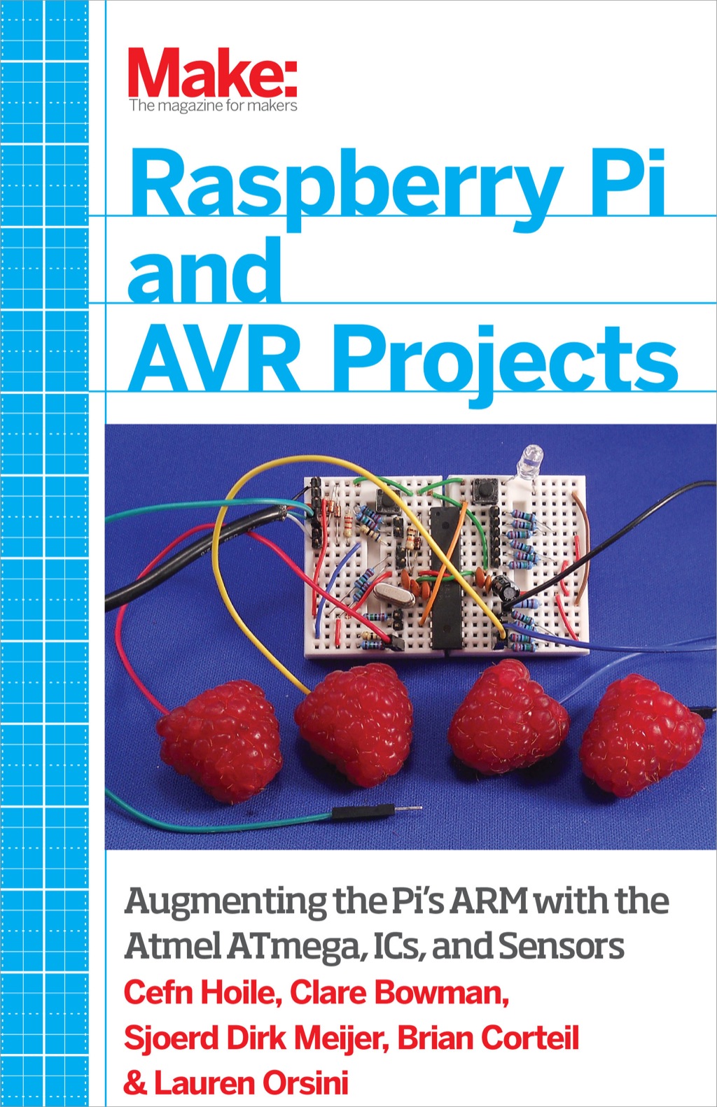 Raspberry Pi and AVR Projects 1st Edition