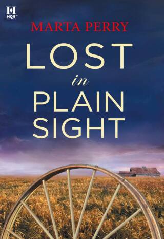 Cover image: Lost in Plain Sight 9781459204133