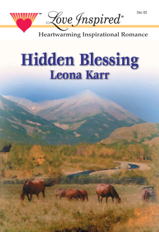 Cover image: HIDDEN BLESSING 9780373872015