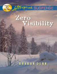 Omslagafbeelding: Zero Visibility 9780373444977