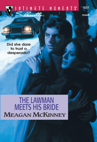 Cover image: THE LAWMAN MEETS HIS BRIDE 9780373271078