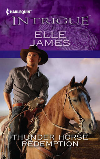 Cover image: Thunder Horse Redemption 9780373696499
