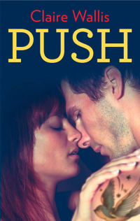 Imagen de portada: Push 9781459256156