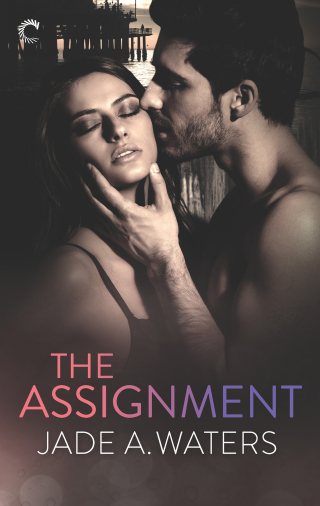 Cover image: The Assignment 9781459293588