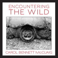 Immagine di copertina: Encountering the Wild 9781554888580