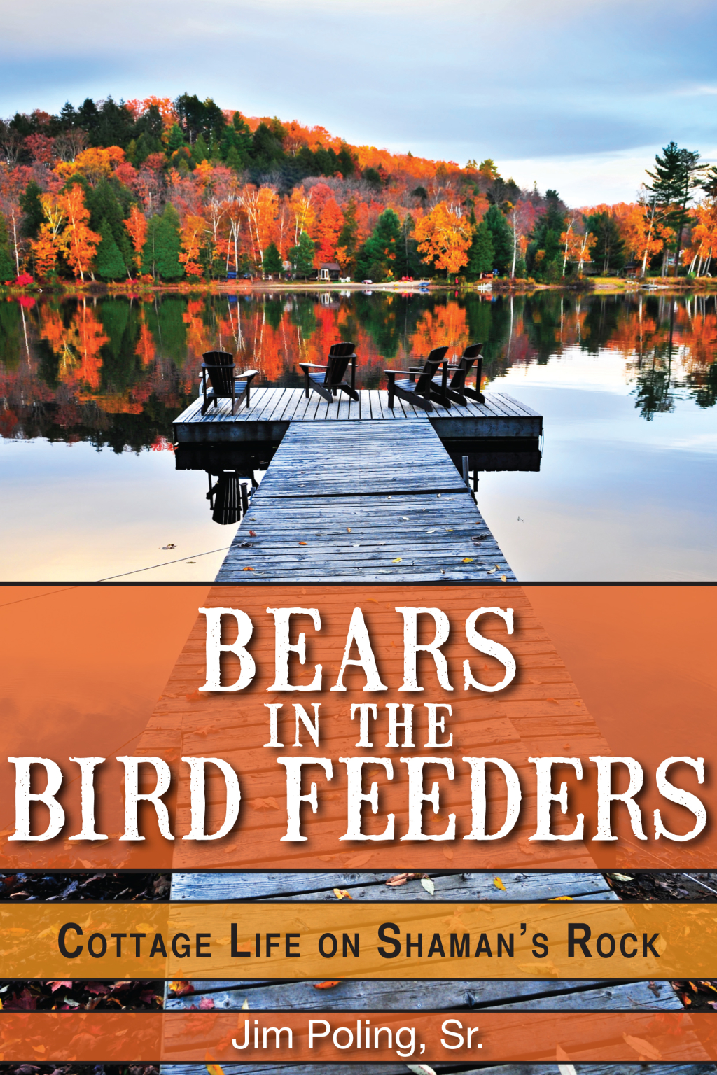 Bears in the Bird Feeders eBook