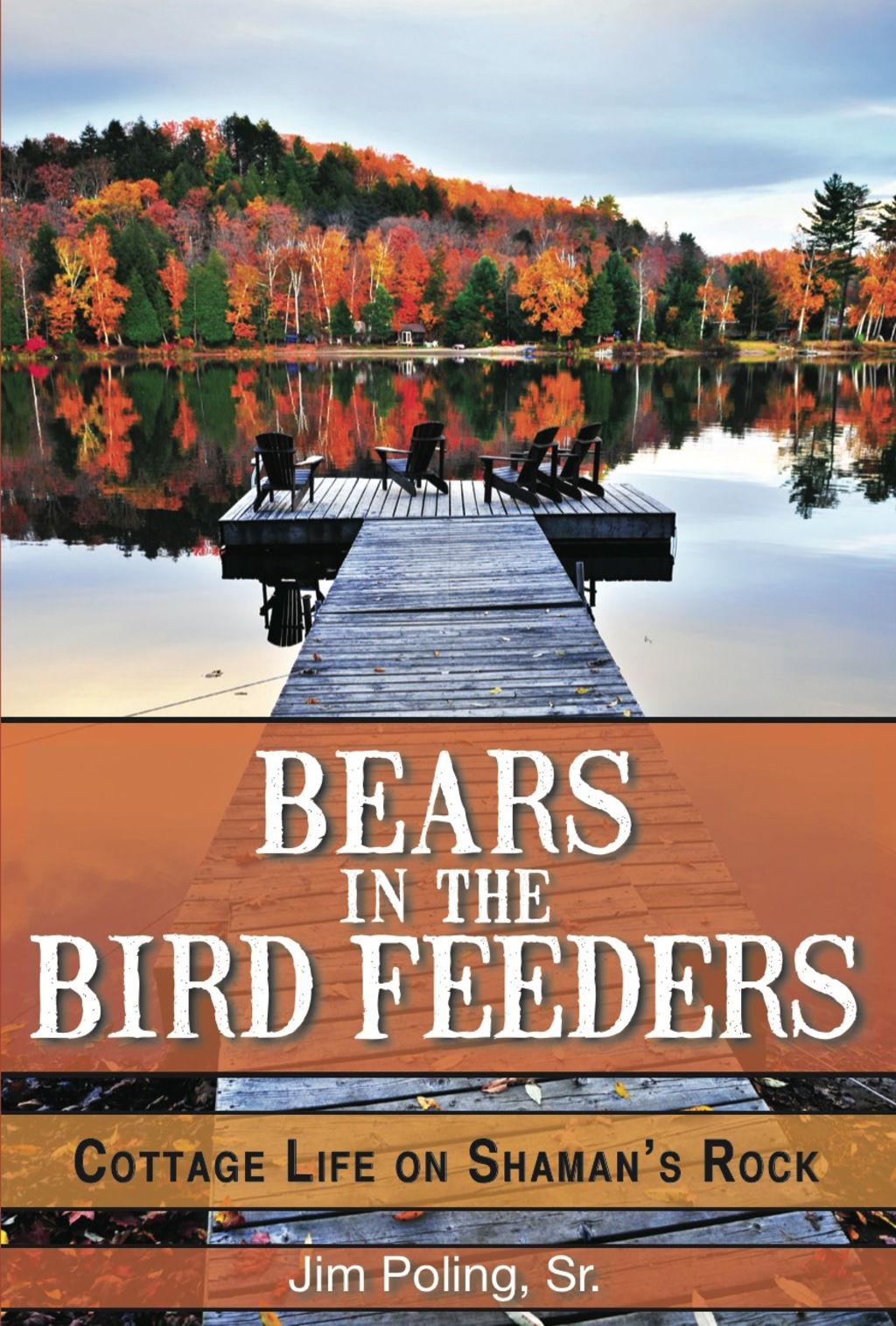 Bears in the Bird Feeders eBook