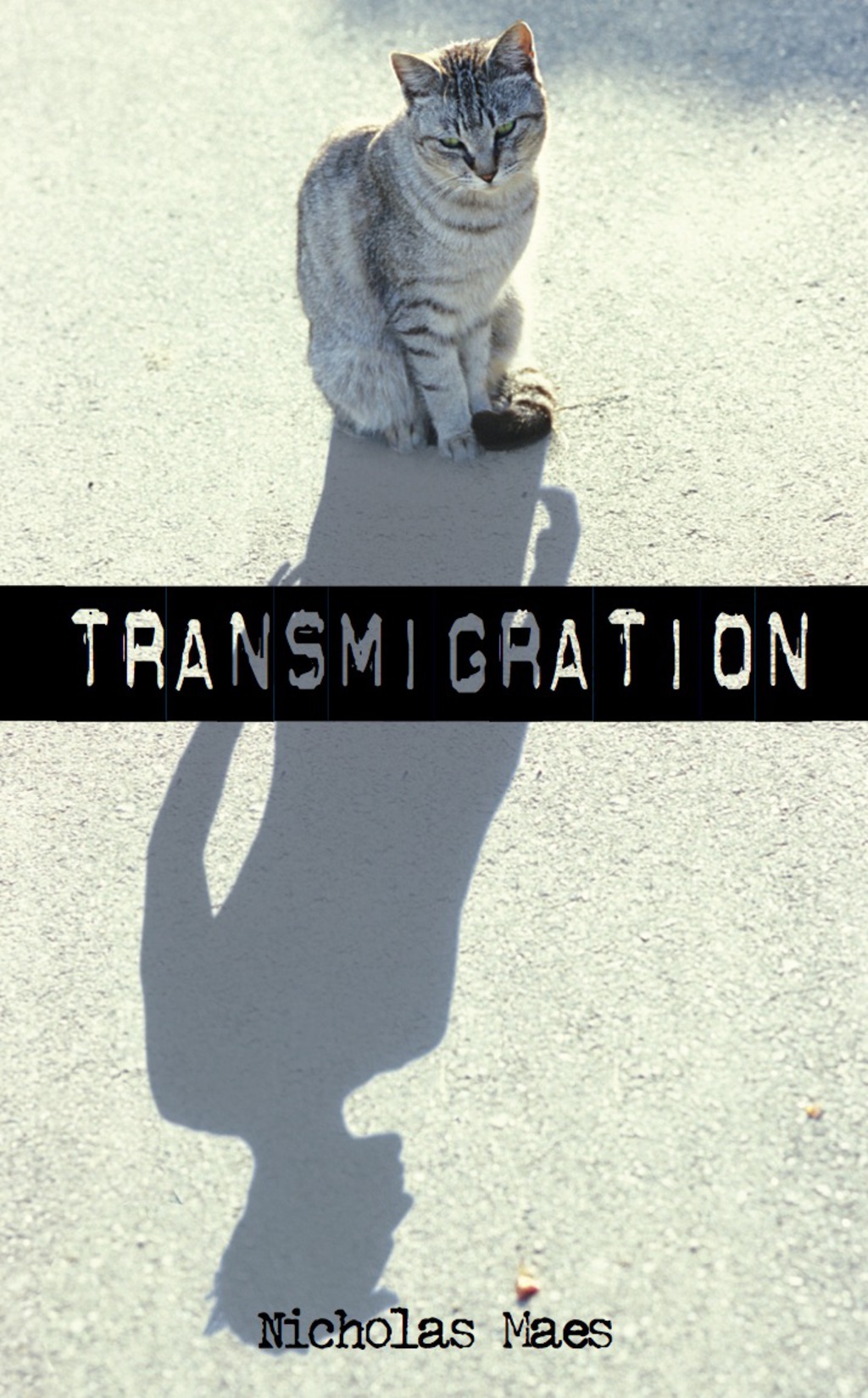 Transmigration (eBook)