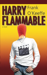 Cover image: Harry Flammable 9781459704541