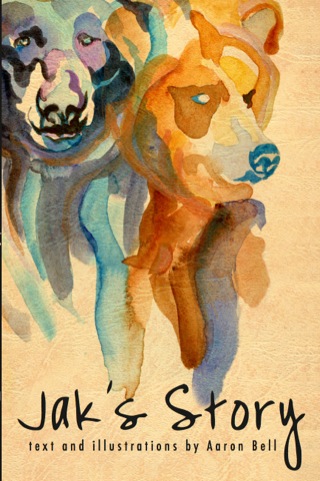 Cover image: Jak's Story 9781554887101