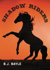 Immagine di copertina: Shadow Riders 9781554887248