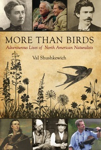 Immagine di copertina: More Than Birds 9781459705586