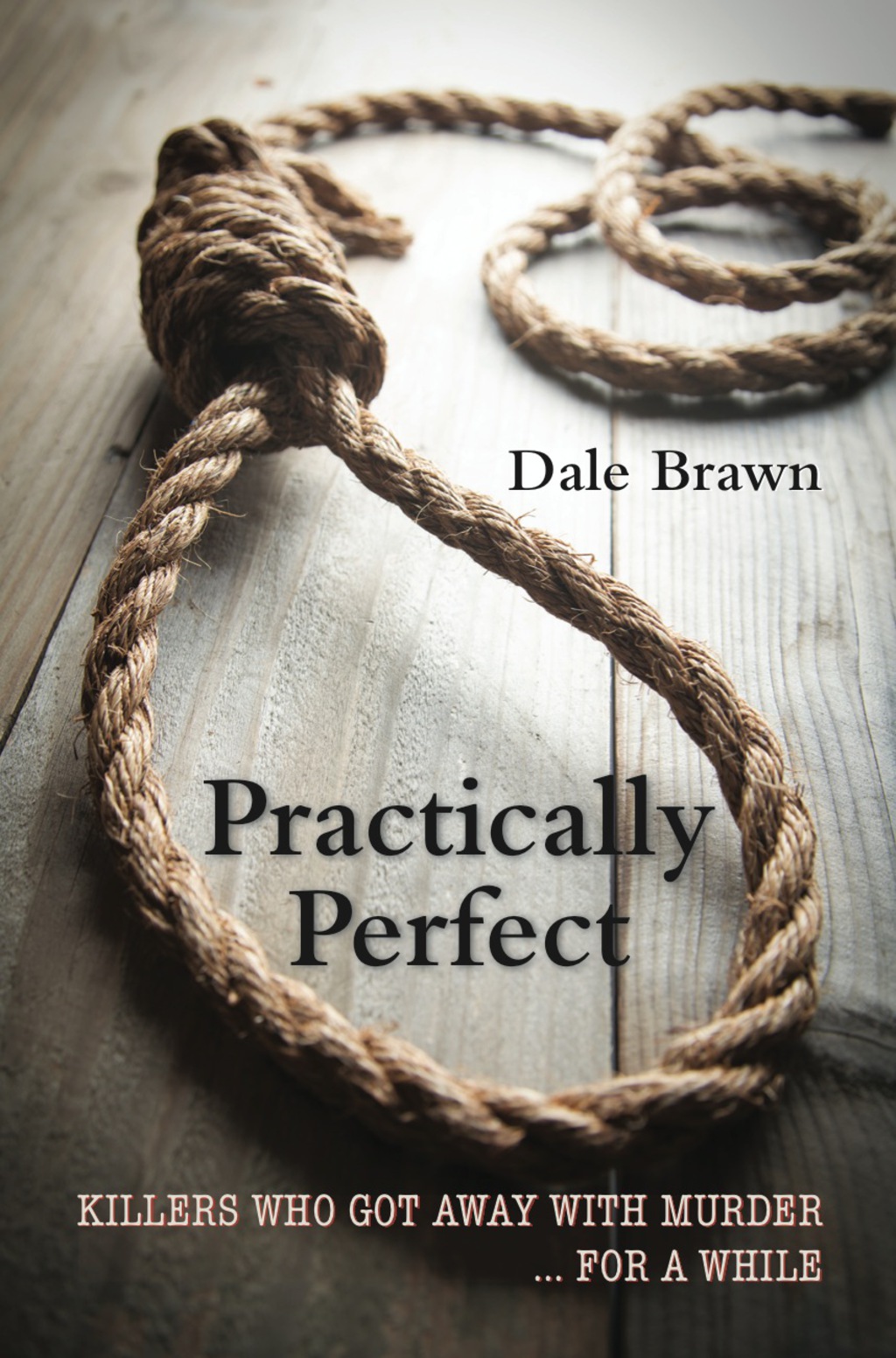 Practically Perfect (eBook)