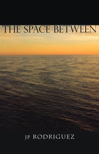 Cover image: The Space Between 9781894917889