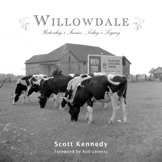 Titelbild: Willowdale 9781459717503
