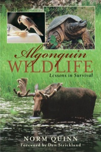 Titelbild: Algonquin Wildlife 9781896219288