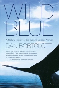 Cover image: Wild Blue 9780887623301